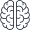 brain